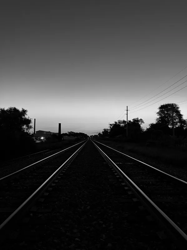 Cohort Alpha — Founding, after the class